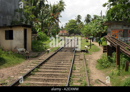 Enti locali dello Sri lanka la linea ferroviaria attraverso un villaggio, Bentota, Sri Lanka, Asia Foto Stock