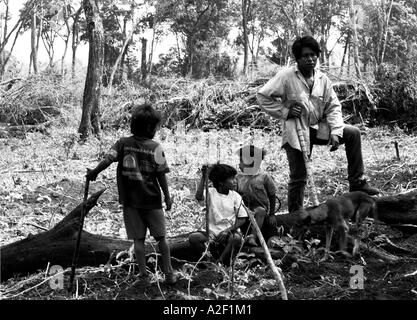Guarani-Kaiowa indiani in Brasile del Matto Grosso do Sul sondaggio stato danno alla terra sacra dal disboscamento illegale Foto Stock