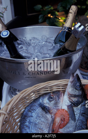 L'Europa, Francia, Marsiglia, display di frutti di mare con champagne Foto Stock