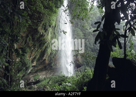 Misol-ha una cascata nei pressi di Palenque Foto Stock