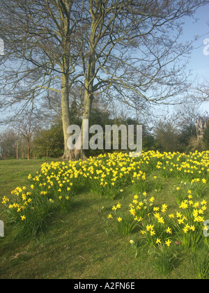 Parco Withdean Brighton East Sussex England Foto Stock