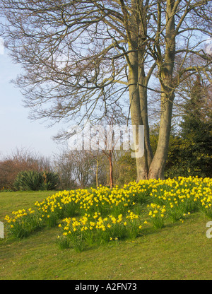 Parco Withdean Brighton East Sussex England Foto Stock