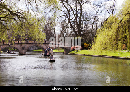 Il fiume Cam e i dorsi, Cambridge, Inghilterra. Foto Stock