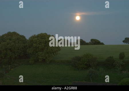 Luna piena sorgere su terreni agricoli Devon Foto Stock