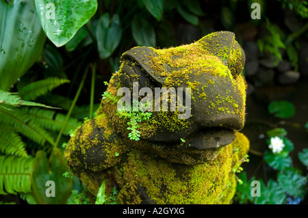 Indonesia Bali Ubud Ladybamboo Villa rana di pietra al piccolo laghetto in giardino Foto Stock