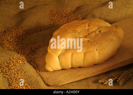 Pane appena sfornato Italiano tradizionale di Casteggio il pane da un fornaio a pale in legno appoggiata su sacchi di grano Foto Stock