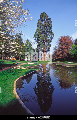 Memorial Gardens Tring Herts Foto Stock