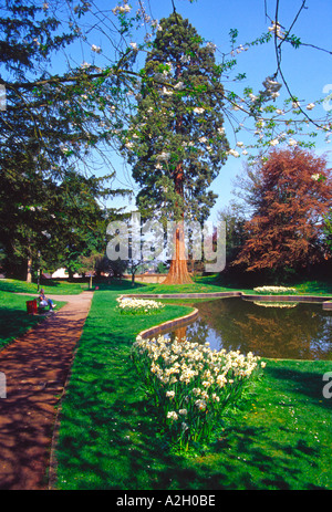 Memorial Gardens - Tring - Herts Foto Stock