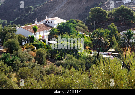 Finca el Cerrillo restaurato di 200 anni vecchio podere immerso tra oliveti Andalusia Spagna Foto Stock