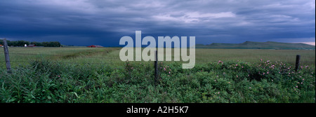 Thunder storm sull orizzonte su terreni agricoli vicino Choteau Montana USA Foto Stock