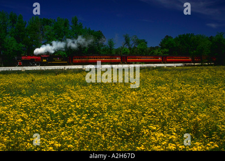 Texas State convoglio ferroviario con campo di fiori gialli in primo piano Gibson Road attraversando il Texas Foto Stock