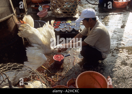 Il pollame per la vendita, Long Bien Mercato, Hanoi, Vietnam. Dalla storia di influenza aviaria in Asia. Foto Stock