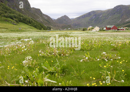 Vista Montagna da Refviksanden beach, Vagsoy Isola, Sogn og Fjordane, Norvegia Foto Stock
