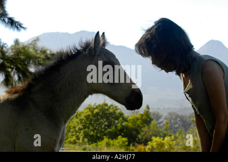 Grigio puledro e donna di mezza età affacciati in silhouette contro blu pallido montagna vicino l immagine dal basso angolo Foto Stock