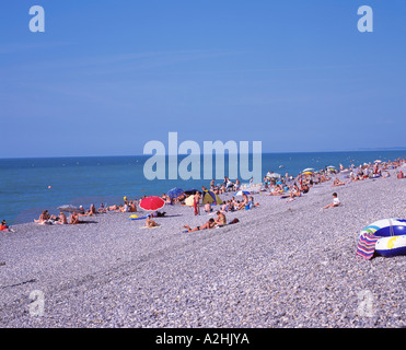 Francia Piccardia CAYEUX SUR MER Baie de Somme LA PLAGE Foto Stock