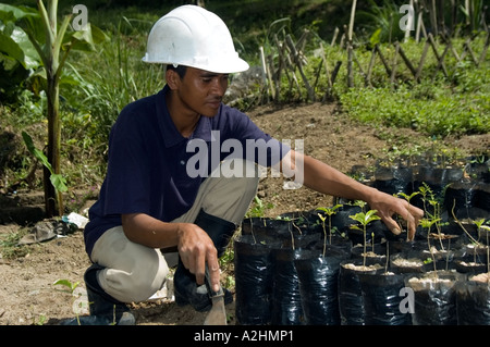 Gli sforzi di conservazione associato con il Rame Tampakan Progetto, Sud Cotabato, a sud di Mindanao nelle Filippine. Foto Stock