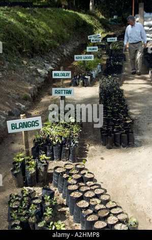 Gli sforzi di conservazione associato con il Rame Tampakan Progetto, Sud Cotabato, a sud di Mindanao nelle Filippine. Foto Stock