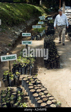 Gli sforzi di conservazione associato con il Rame Tampakan Progetto, Sud Cotabato, a sud di Mindanao nelle Filippine. Foto Stock
