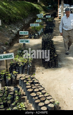 Gli sforzi di conservazione associato con il Rame Tampakan Progetto, Sud Cotabato, a sud di Mindanao nelle Filippine. Foto Stock