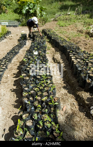 Gli sforzi di conservazione associato con il Rame Tampakan Progetto, Sud Cotabato, a sud di Mindanao nelle Filippine. Foto Stock
