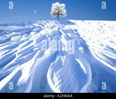 Quattro Stagioni: Inverno Foto Stock