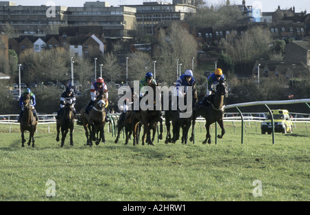 Corse di cavalli a Warwick gare, Warwickshire, Inghilterra, Regno Unito Foto Stock