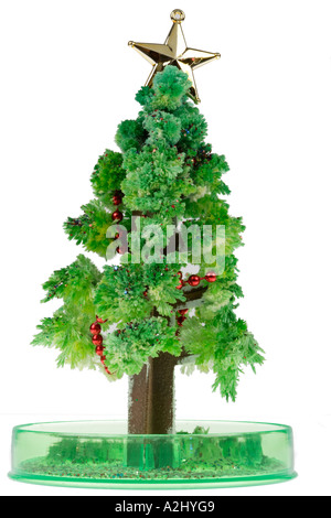 Crescere il proprio cristalli albero di Natale Foto Stock