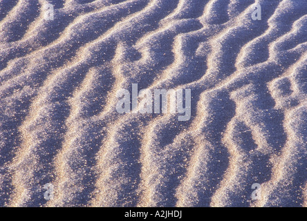Stati Uniti Colorado Grande dune sabbiose del Parco Nazionale di close up di ondulazioni in sabbia Foto Stock