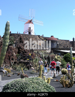Jardin de Cactus a Lanzarote progettato da Cesar Manrique un artista spagnolo Foto Stock