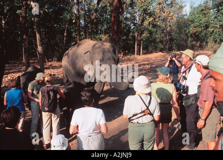 Bandhavgarh Nat'l parco, Khajuraho, Madhya Pradesh, India. Elefanti asiatici con i turisti. Foto Stock