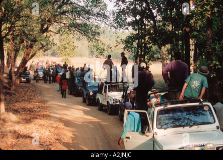 Bandhavgarh Nat'l parco, Khajuraho, Madhya Pradesh, India. Caravan del turista Foto Stock