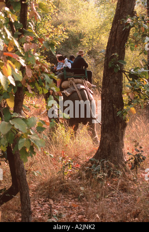 Bandhavgarh Nat'l parco, Khajuraho, Madhya Pradesh, India. Viaggi turistici su elefante. Foto Stock