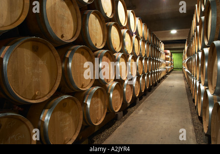 La camera moderna cantina di maturazione in barriques di pezzi con la maturazione del vino, Maison Louis Jadot, Beaune Côte Cote d o Borgogna Borgogna Borgogna Francia francese Europe unione Foto Stock