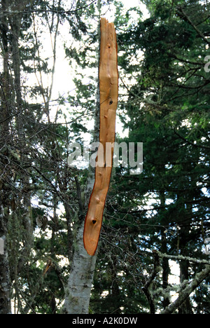 "Alder tree ^rotto dalla tempesta". Foto Stock