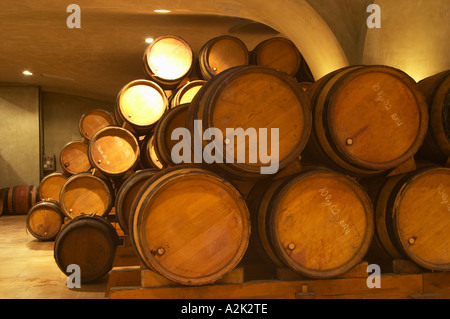 Barili di legno naturale con l'invecchiamento del vino nella cantina di Guigal in Ampuis. Barili memorizzato 'bond a cote' con il buco del tappo di lato. Foto Stock