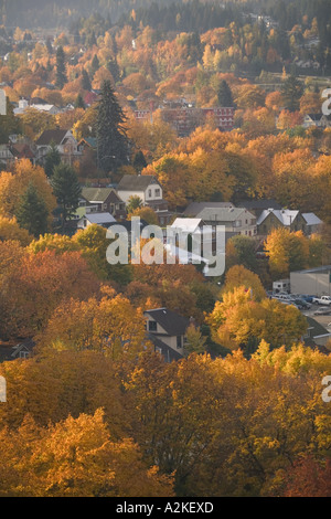 CANADA, British Columbia, Nelson. Autunno Vista della città dal Parco del giroscopio Foto Stock