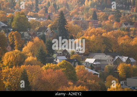 CANADA, British Columbia, Nelson. Autunno Vista della città dal Parco del giroscopio Foto Stock