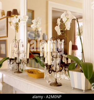 Orchidee e candelabri su un mantelpiece con specchio Foto Stock