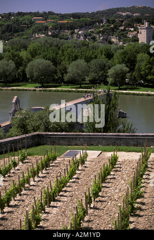 Europa, Francia, Provenza, Vaucluse, Avignone. Pont St Benezet, vista dal Rocher des Doms Foto Stock
