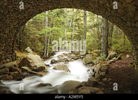 La Giordania flusso che scorre sotto il carro ponte stradale Mount Desert Island Hancock County Parco Nazionale di Acadia nel Maine USA Foto Stock