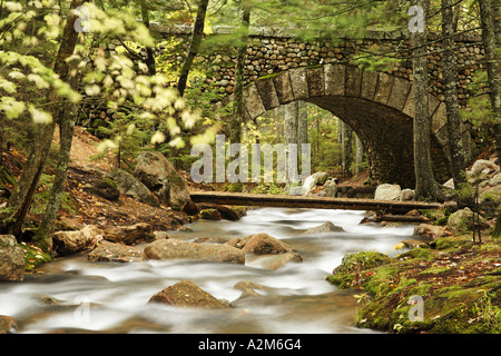 Il trasporto su strada e piedi ponte sul torrente Giordano Mount Desert Island Hancock County Parco Nazionale di Acadia nel Maine USA Foto Stock
