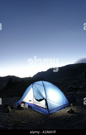 Backpacking tenda incandescente al di sotto del cielo notturno vicino a giallo Aster Butte North Cascades Whatcom County Washington STATI UNITI D'AMERICA Foto Stock