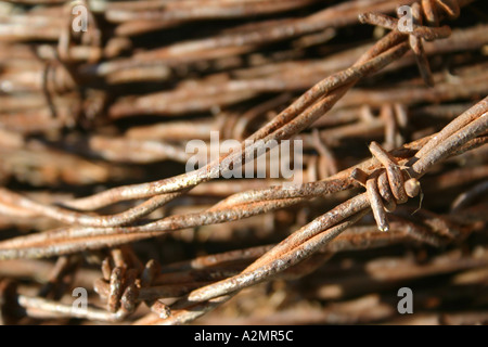 Barbwire recinzioni in un fascio. Foto Stock