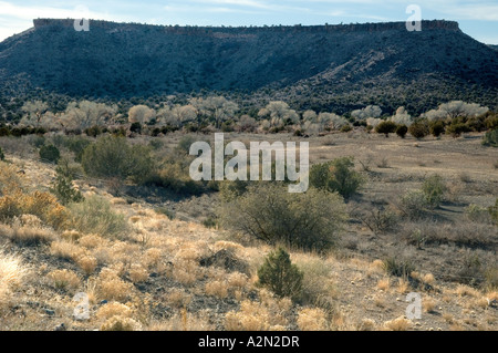 Butte e pioppi neri americani alberi, Route 66, Arizona Foto Stock