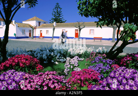 Centro del villaggio di fisher Porto Covo Parco Naturale Costa Vicentina e Sudoeste Alentejano Alentejo Portogallo Foto Stock