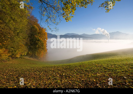 Emissione di fumo dal camino, Austria Foto Stock