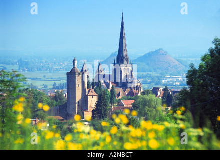 Close-up di fiori che sbocciano con cattedrale in background, Saône-et-Loire, Francia Foto Stock