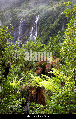 La lussureggiante foresta pluviale del Franz Joseph Glacier Valley. West Coast, South Island, in Nuova Zelanda. Foto Stock