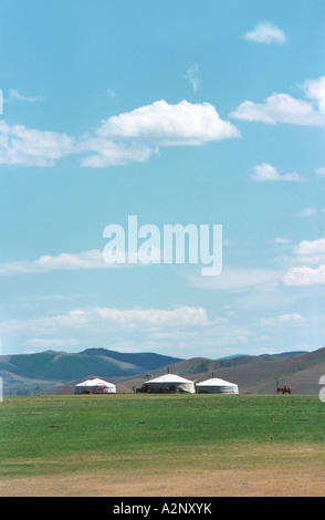 Abitazione mongolo yurt -. Villaggio Bayantes (somon) nelle vicinanze. Zavkhan aimag (provincia). Mongolia Foto Stock