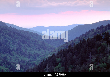 Le foreste ricoprono il Parco Nazionale di Great Smoky Mountains visto da Morton si affacciano, Tennessee, Stati Uniti d'America. Parte della Appalachian Range Foto Stock